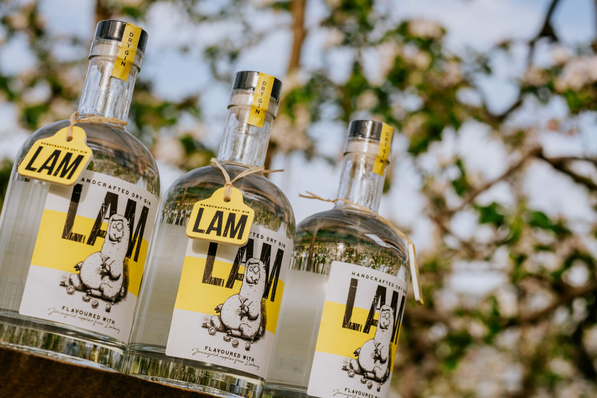 LAM Gin 70cl - Afbeelding 3